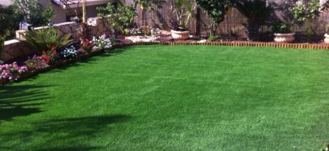 מרבד דשא סינטטי בגינה שלך